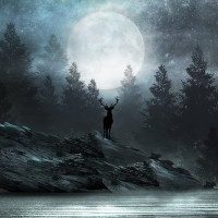 Waldhirsch-Panorama-Tapete