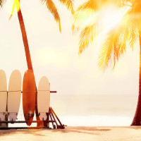 Surfen unter Palmen Panoramatapete