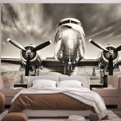 Panoramatapete Flugzeug