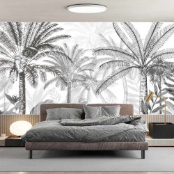 Panoramatapete Dschungel Bäume Schwarz und Weiß
