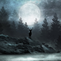 Waldhirsch-Panorama-Tapete