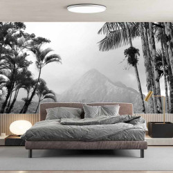 Panoramatapete Dschungel Wald Schwarz und Weiß 2