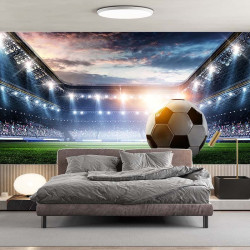 Fußball 2 Panorama-Tapete