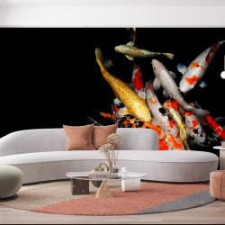 Fisch Koi-Karpfen Panoramatapete
