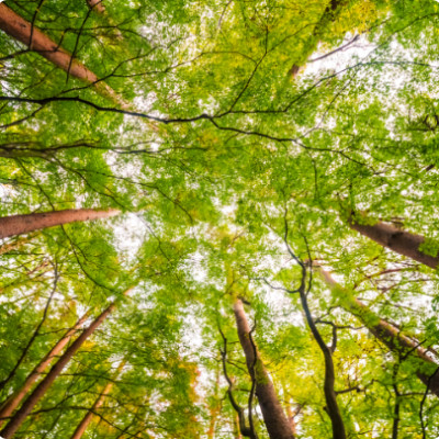 Wissenschaft für das Klima