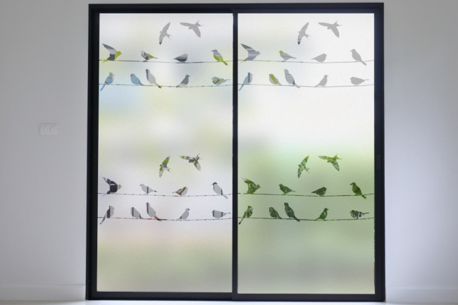 Vögel online Sichtschutz-Fensterfolie