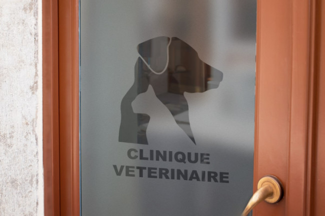 Tierklinik Logo Datenschutz Fensterfolie